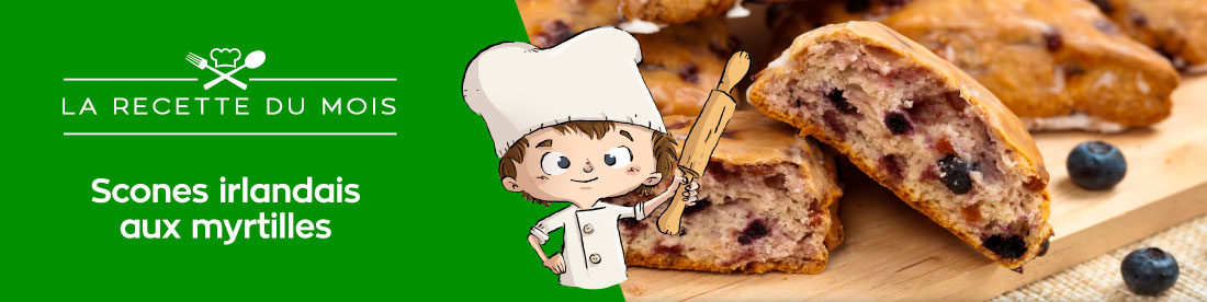 Scones irlandais aux myrtilles